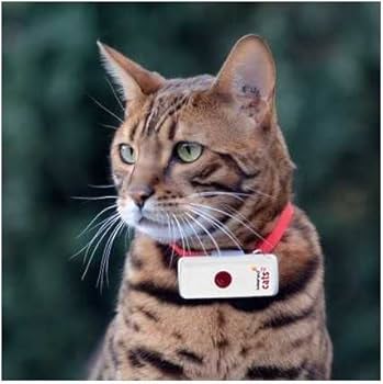 weenect cats 2 gps tracker